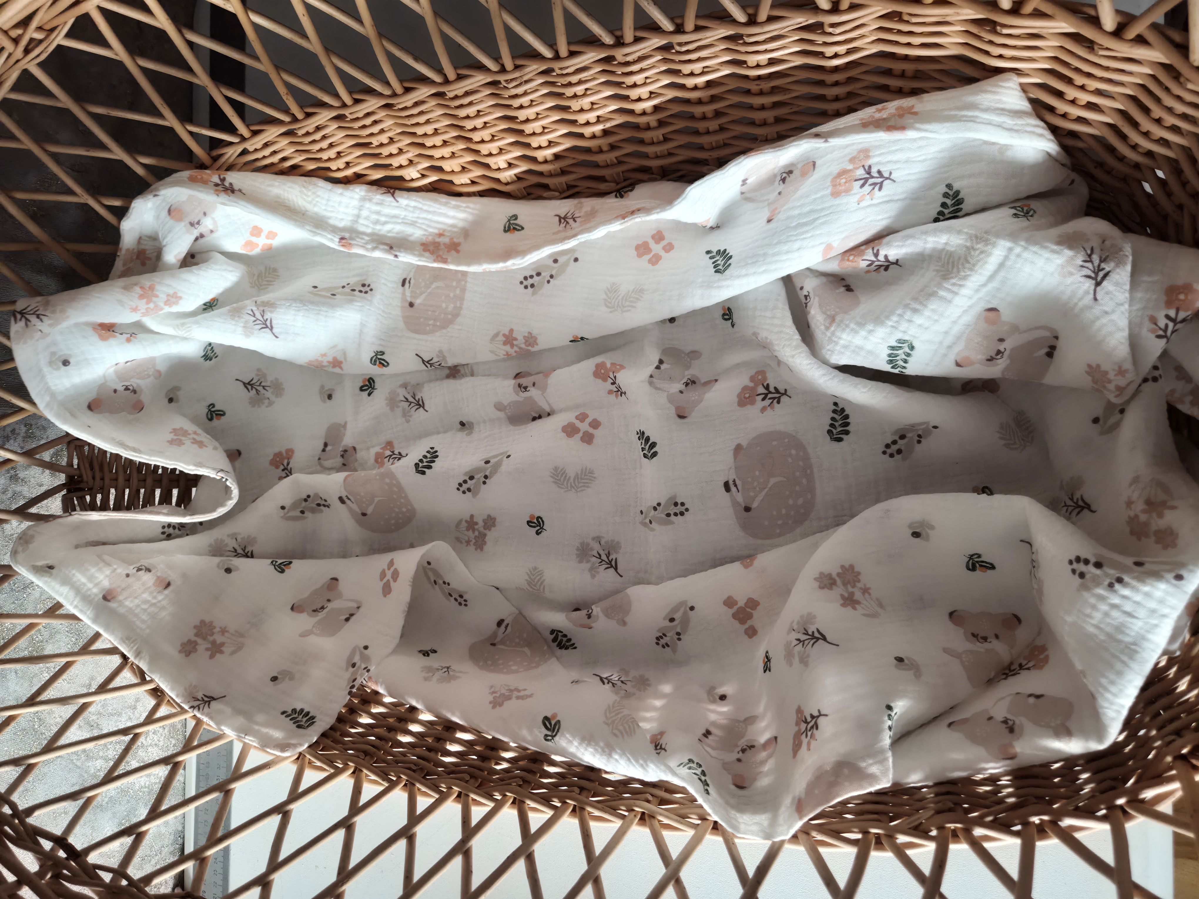 Muslino užklotėlia